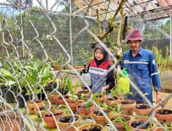 Pertamina Patra Niaga Sumbagsel Perkuat Adaptasi Iklim dan Konservasi Tanaman di Kebun Raya Tuatunu