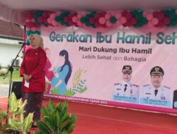 Wakil Wali Kota Pangkalpinang Ajak Galakkan Program Gerakan Ibu Hamil Sehat