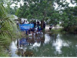 PT TIMAH Tbk Dorong Pemanfaatan Kolong Eks Tambang Jadi Ekosistem Produktif
