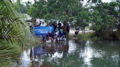 PT TIMAH Tbk Dorong Pemanfaatan Kolong Eks Tambang Jadi Ekosistem Produktif