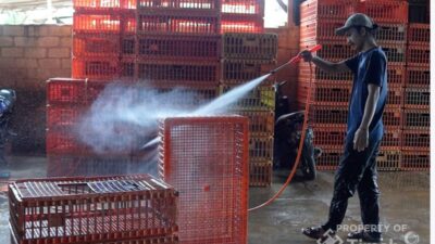 Dukung UMKM Makin Berkembang, PT TIMAH Tbk Serahkan Mesin Steam untuk Usaha Ayam Potong di Pangkalpinang