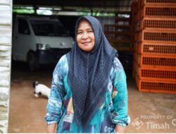 Bangkit Dari Keterpurukan, Rumah Ayam Potong Afriani Mitra Binaan PT TIMAH Tbk Pelayanan Tepat Waktu dan Cepat