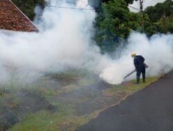 Cegah DBD di Wilayah Operasional Perusahaan, PT TIMAH Tbk Lakukan Fogging Hingga Sosialisasikan 3M