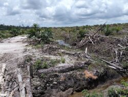 Diduga Masuk Daftar Mafia Tanah, Kejari Basel Usut Dugaan Korupsi Lahan Negara di Desa Pergam