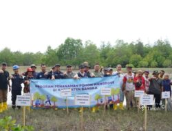Komitmen Pelestarian Ekosistem Pesisir, PT TIMAH Tbk Tanam 5000 Bibit Mangrove di Pantai Takari