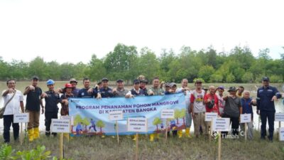 Komitmen Pelestarian Ekosistem Pesisir, PT TIMAH Tbk Tanam 5000 Bibit Mangrove di Pantai Takari