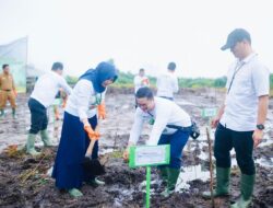 Dukung Energi Bersih, PLN UIW Babel Tanam 10.000 Bibit Pohon Kaliandra melalui Program TJSL di Belitung Timur