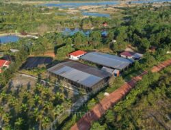 Dari Reklamasi hingga Mangrove, PT TIMAH Tbk Dorong Pemulihan Lingkungan Berkelanjutan