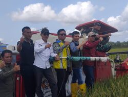 Pemkab Basel bersama Petani Turut Hadir Momentum Panen Raya dan Pengumuman Swasembada Pangan Nasional