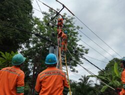Sistem Kelistrikan Nasional Andal, PLN Berhasil Jaga Layanan Momen Pergantian Tahun