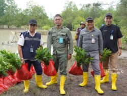 Lewat Program TJSL, PT TIMAH Tbk Tanam Belasan Ribu Mangrove di Kundur dan Meranti untuk Jaga Ekosistem Pesisir
