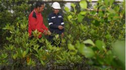 PT TIMAH Tbk Konsisten Dorong Pelestarian Lingkungan Melalui Program Seribu Pohon untuk Negeri