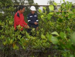 PT TIMAH Tbk Konsisten Dorong Pelestarian Lingkungan Melalui Program Seribu Pohon untuk Negeri