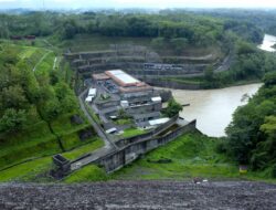 Penjualan REC Capai 6,43 TWh di 2025, Energi Bersih Semakin Diminati Sektor Industri dan Bisnis