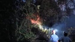 PT TIMAH Tbk Bergerak Cepat Bantu Warga Padamkan Kebakaran Lahan