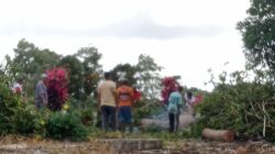 Tradisi Ruah Desa Perlang: Dari Puasa Nisfu Syaban hingga Nganggung yang Eratkan Silaturahmi