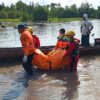 Tragis di Sungai Limbung Menduk, Korban Serangan Buaya Ditemukan Setelah Pencarian Intensif