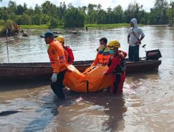Tragis di Sungai Limbung Menduk, Korban Serangan Buaya Ditemukan Setelah Pencarian Intensif
