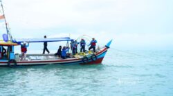 Reklamasi Laut PT TIMAH Tbk: 1.920 Unit Artificial Reef Ditenggelamkan untuk Pulihkan Ekosistem, Hadirkan Manfaat Ekologis bagi Perairan