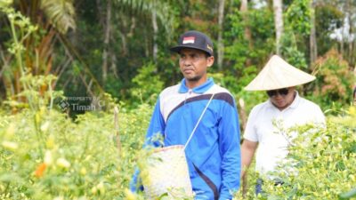 Sinergi untuk Wujudkan Ketahanan Pangan, PT TIMAH Optimalkan Potensi Pertanian Lokal dengan Lakukan Hal Ini