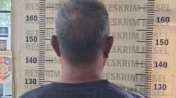 Diduga Cabuli Remaja Hingga Hamil, Pria 61 Tahun di Bangka Selatan Diamankan Polisi